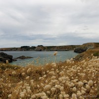 /album/mer/frida-dumont-img-2105-jpg/